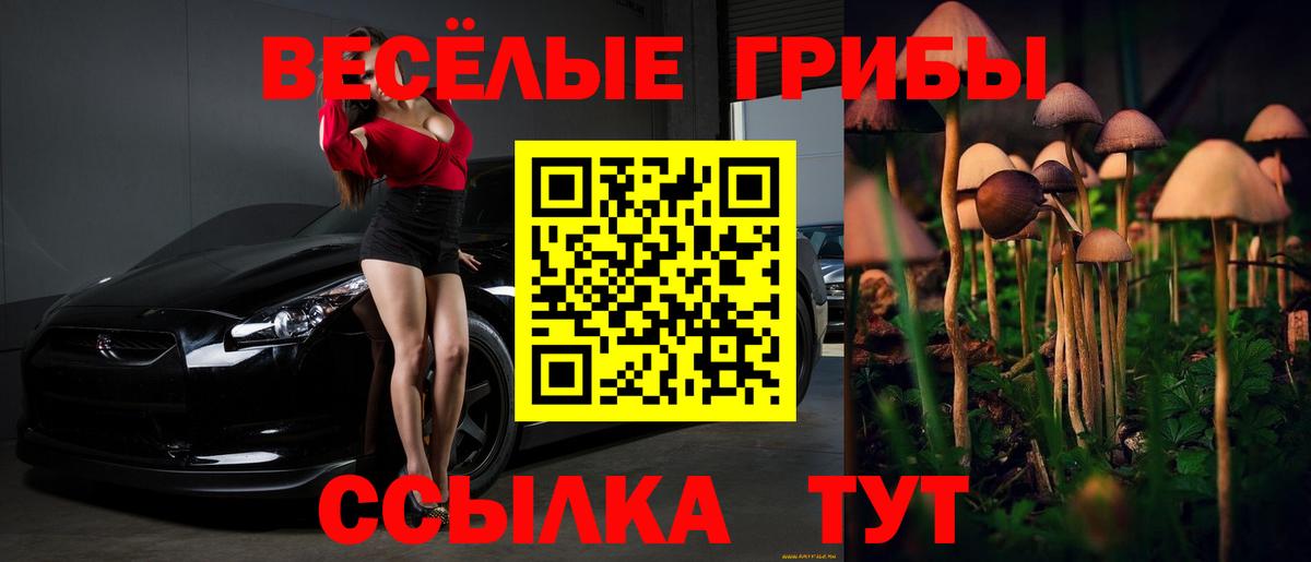 Псилоцибиновые грибы мицелий Владимир