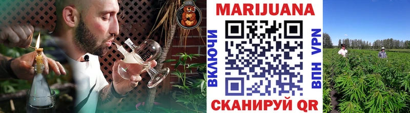 как найти наркотики  Владимир  Конопля VHQ 